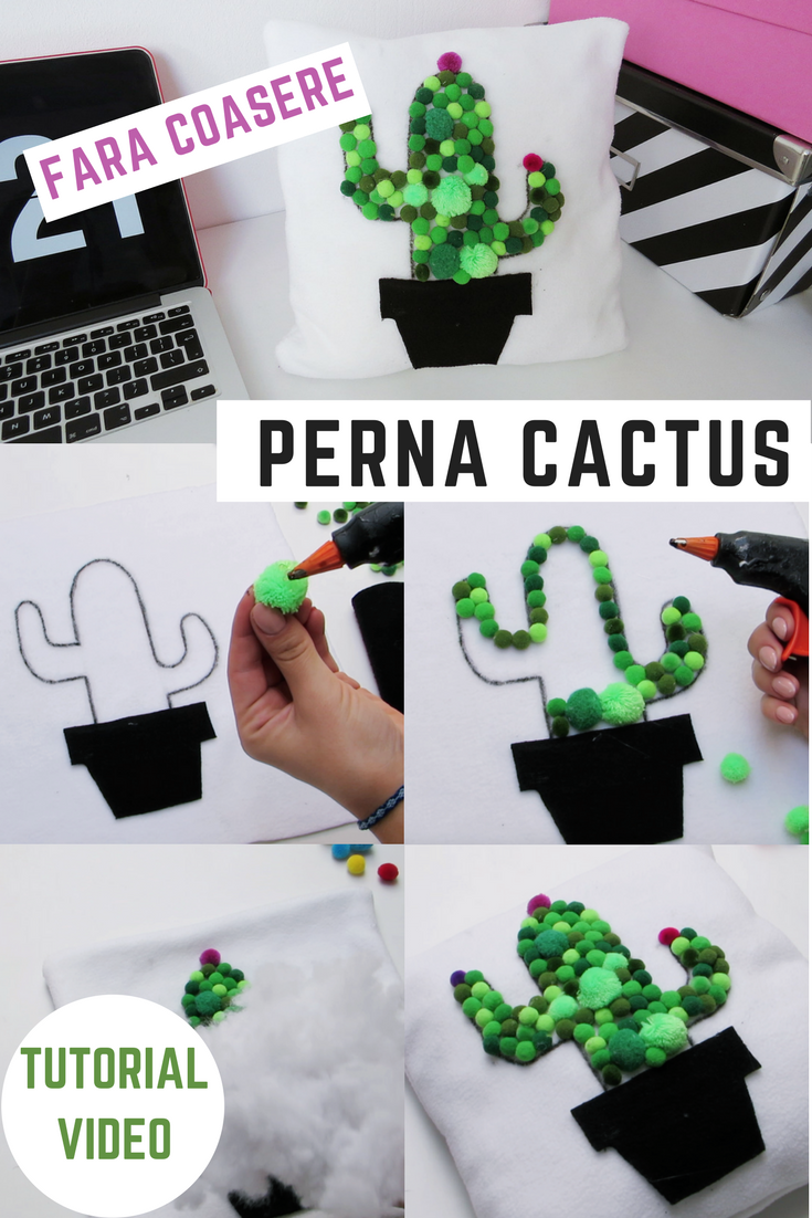DIY Perna cactus